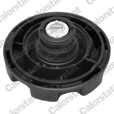 CALORSTAT by Vernet RC0087 EAN: 3531650030781.