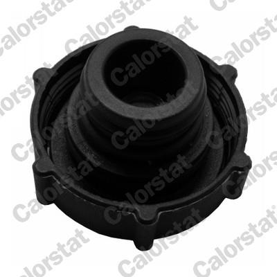 CALORSTAT by Vernet RC0154 EAN: 3531650034352.