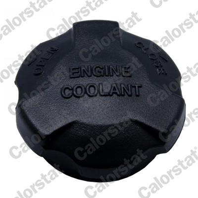 CALORSTAT by Vernet RC0161 EAN: 3531650035854.