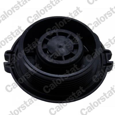 CALORSTAT by Vernet RC0162 EAN: 3531650035984.