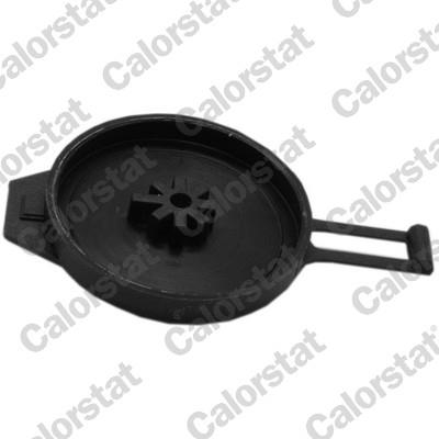 CALORSTAT by Vernet RC0165 EAN: 3531650042715.