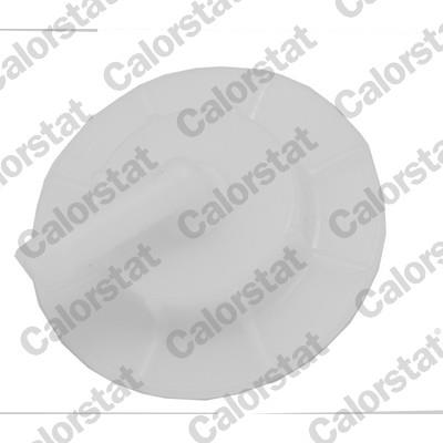 CALORSTAT by Vernet RC0176 EAN: 3531650035915.