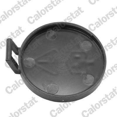 CALORSTAT by Vernet RC0182 EAN: 3531650041411.