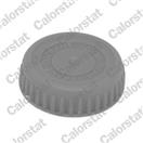 CALORSTAT by Vernet RC0185