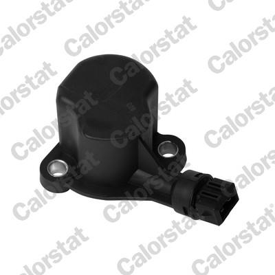 CALORSTAT by Vernet RS5558 EAN: 3531650015160.