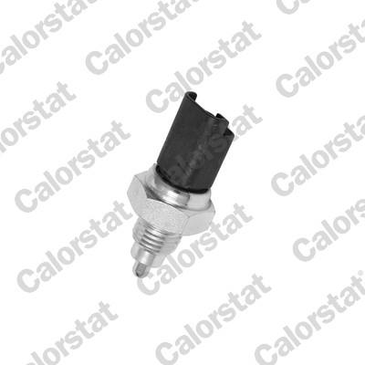 CALORSTAT by Vernet RS5577 EAN: 3531650021987.