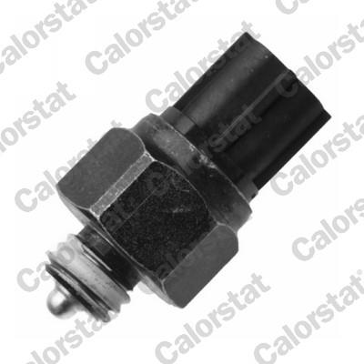 CALORSTAT by Vernet RS5589 EAN: 3531650032976.