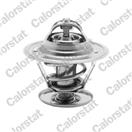 CALORSTAT by Vernet TH1439.87J