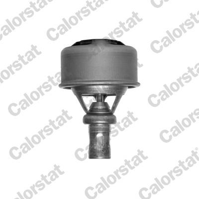 CALORSTAT by Vernet TH4495.89 EAN: 3531650004034.