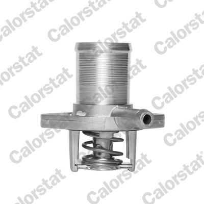 CALORSTAT by Vernet TH5493.89J EAN: 3531650005369.
