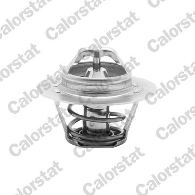 CALORSTAT by Vernet TH5955.88J EAN: 3531650006106.
