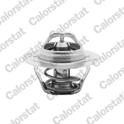 CALORSTAT by Vernet TH6045.89J EAN: 3531650006632.
