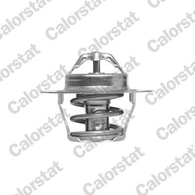 CALORSTAT by Vernet TH6318.89J EAN: 3531650007820.