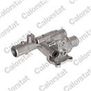 CALORSTAT by Vernet TH6590.88J