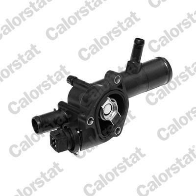 CALORSTAT by Vernet TH6666.89J EAN: 3531650009404.