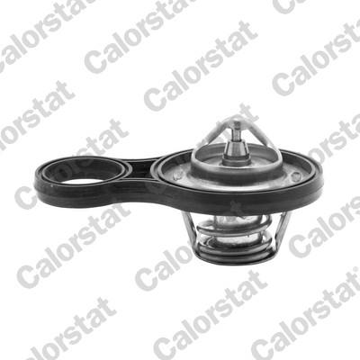 CALORSTAT by Vernet TH6843.91J EAN: 3531650009817.