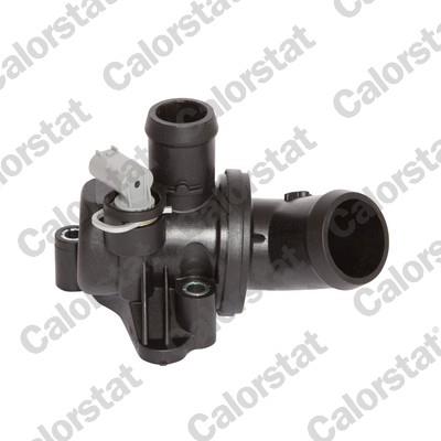 CALORSTAT by Vernet TH6991.87J EAN: 3531650010295.