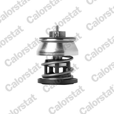 CALORSTAT by Vernet TH7383.88 EAN: 3531650049882.