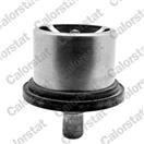 CALORSTAT by Vernet THS19094.80