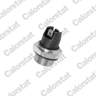 CALORSTAT by Vernet TS6995 EAN: 3531650015269.