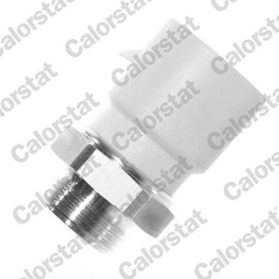 CALORSTAT by Vernet TS1273 EAN: 3531650010752.