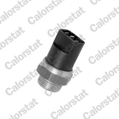 CALORSTAT by Vernet TS1874 EAN: 3531650011056.