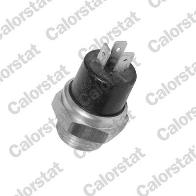 CALORSTAT by Vernet TS1886 EAN: 3531650011063.