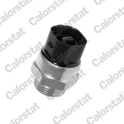 CALORSTAT by Vernet TS2629 EAN: 3531650012381.