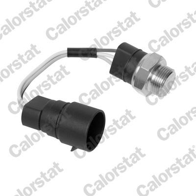 CALORSTAT by Vernet TS2632 EAN: 3531650012411.