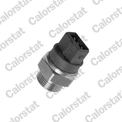 CALORSTAT by Vernet TS2649 EAN: 3531650012558.