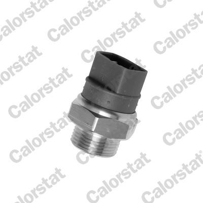 CALORSTAT by Vernet TS2673 EAN: 3531650012589.