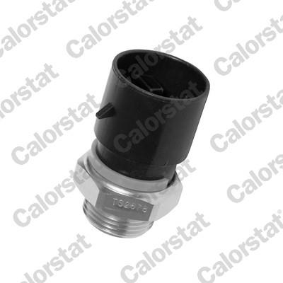 CALORSTAT by Vernet TS2678 EAN: 3531650012619.