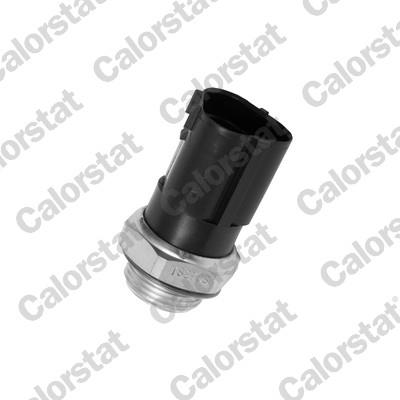 CALORSTAT by Vernet TS2783 EAN: 3531650012855.