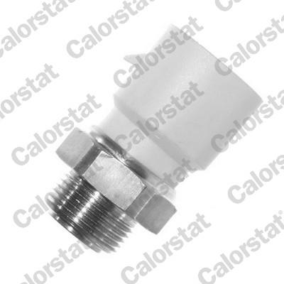 CALORSTAT by Vernet TS2864 EAN: 3531650013029.