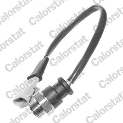CALORSTAT by Vernet TS2867 EAN: 3531650013050.