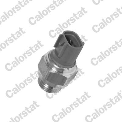 CALORSTAT by Vernet TS2870 EAN: 3531650013081.