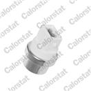 CALORSTAT by Vernet TS2900