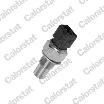 CALORSTAT by Vernet WS2502 EAN: 3531650011278.