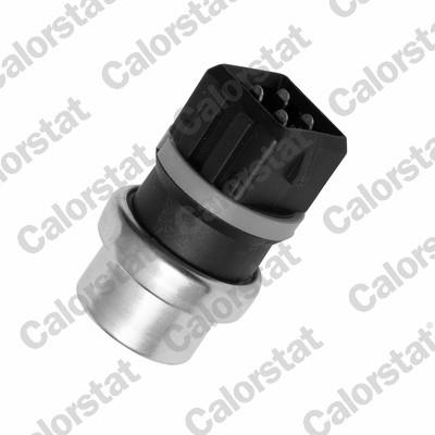 CALORSTAT by Vernet WS2579 EAN: 3531650011988.