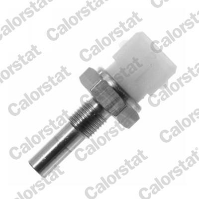 CALORSTAT by Vernet WS2580 EAN: 3531650011995.