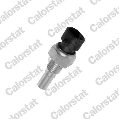 CALORSTAT by Vernet WS2586 EAN: 3531650012053.