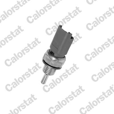 CALORSTAT by Vernet WS2606 EAN: 3531650022113.