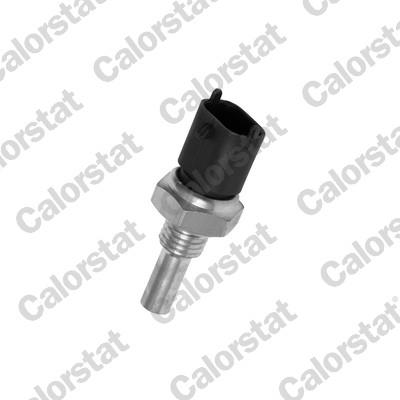 CALORSTAT by Vernet WS2697 EAN: 3531650027699.