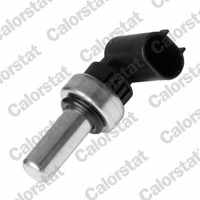 CALORSTAT by Vernet WS2698 EAN: 3531650023653.