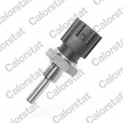CALORSTAT by Vernet WS3001 EAN: 3531650022120.