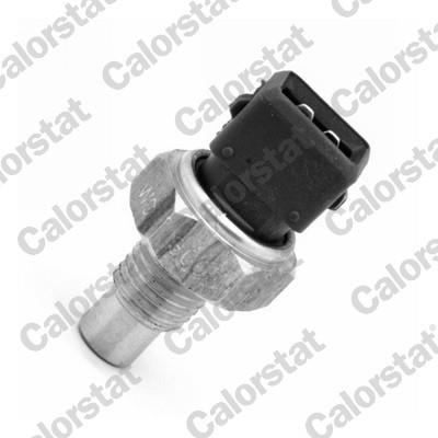 CALORSTAT by Vernet WS3006 EAN: 3531650022250.