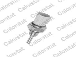 CALORSTAT by Vernet WS3010