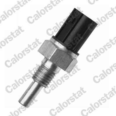 CALORSTAT by Vernet WS3036 EAN: 3531650030774.