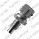 CALORSTAT by Vernet WS3111