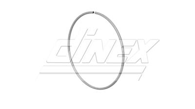 DINEX 2KL031